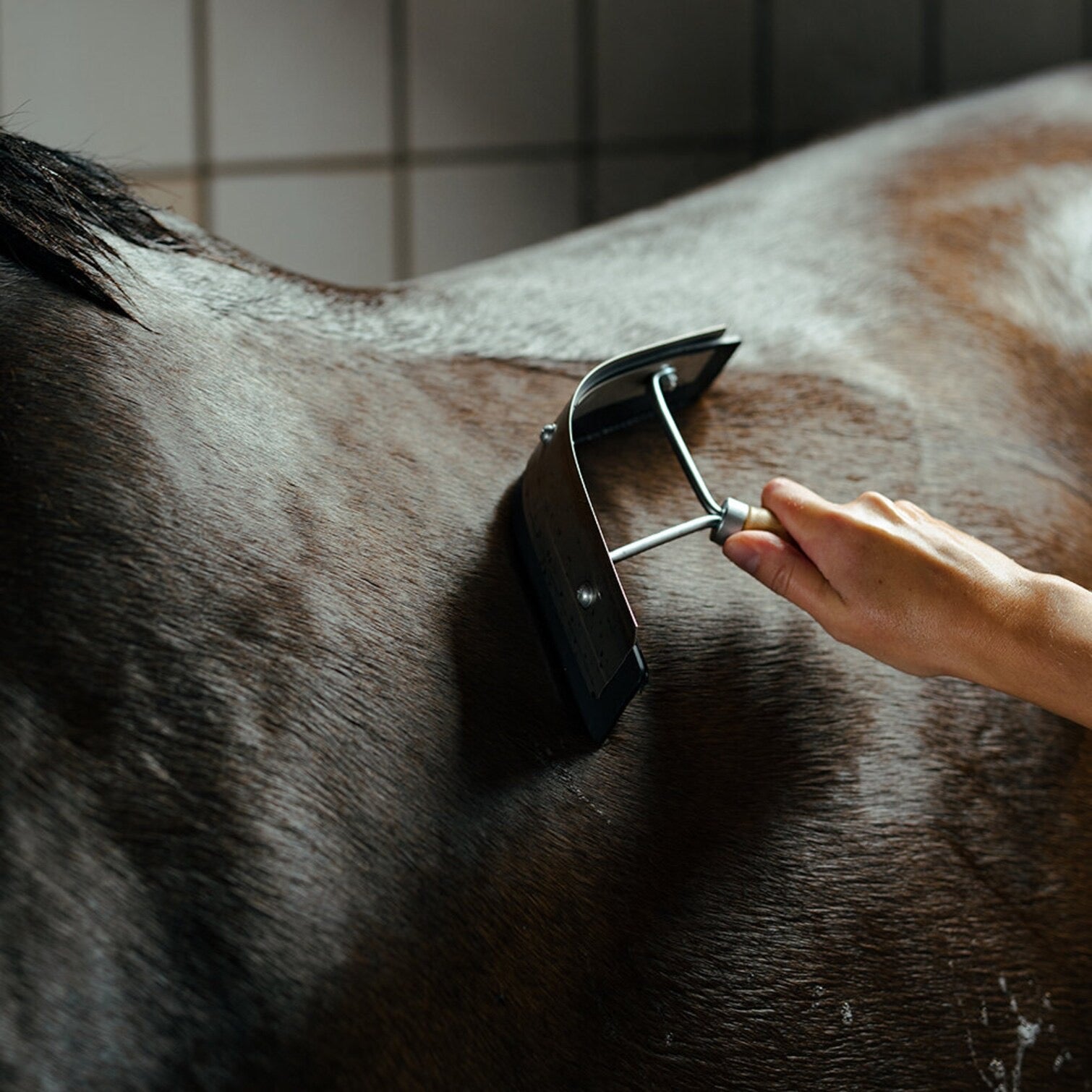Borstig Schweißmesser