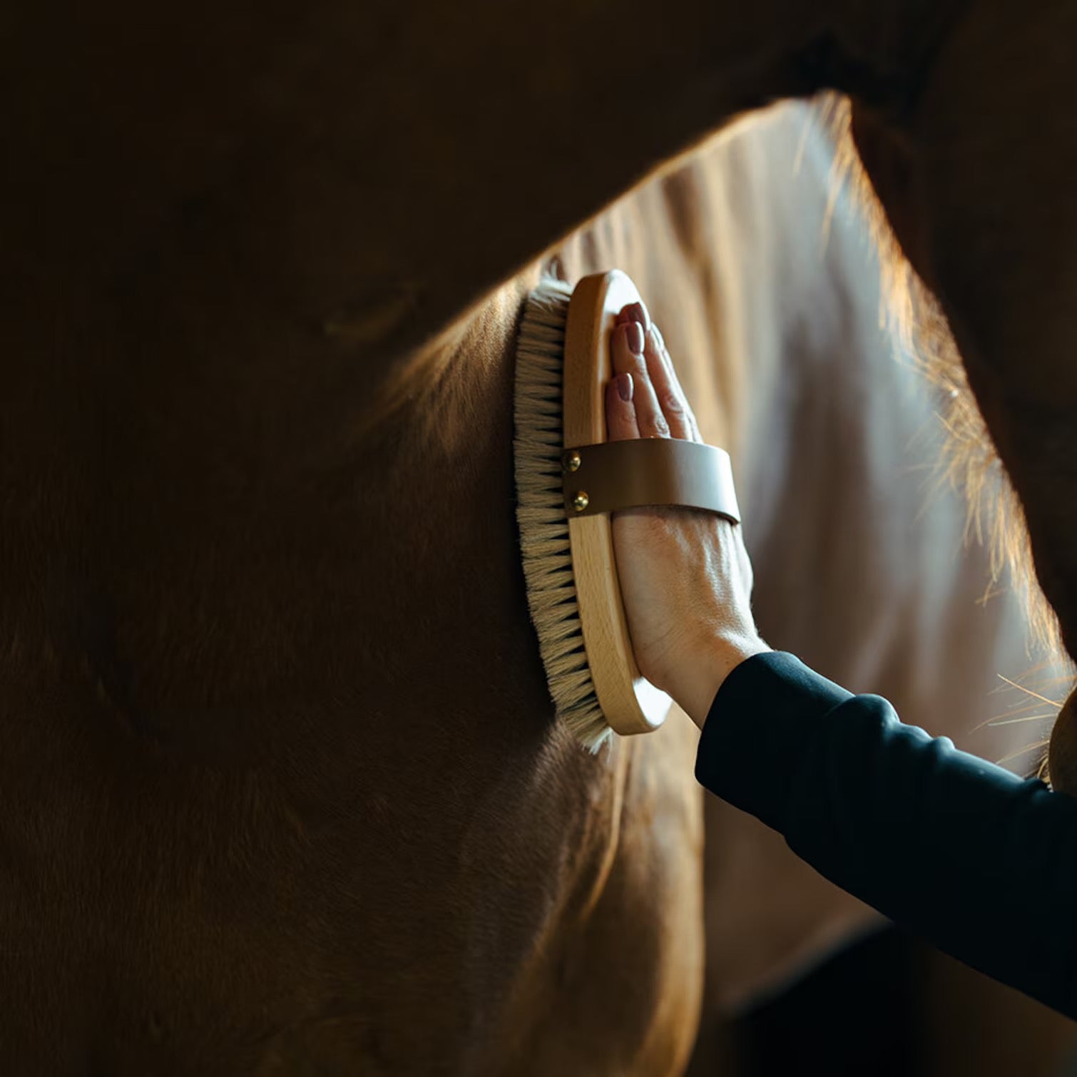 Borstiq Kardätsche Rosshaar Large