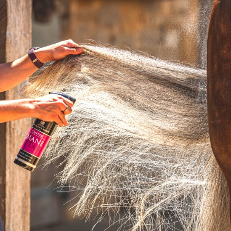 Carr Day Martin Canter Mähnen und Schweifspray