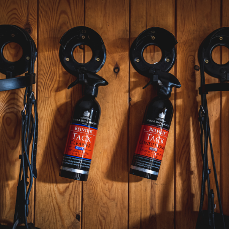 Carr Day Martin Belvoir Step 2 Lederpflege 500ml